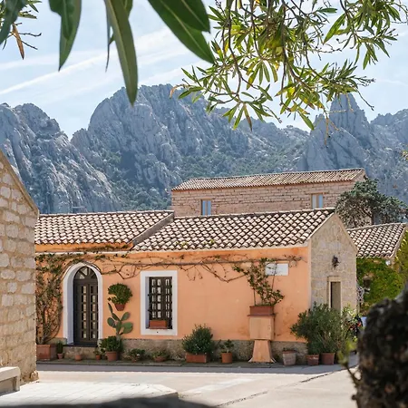 Domus Ilex *