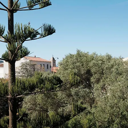 Domus Ilex- In Via Livorno 6