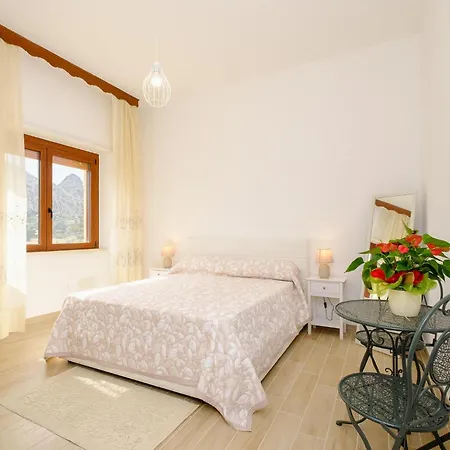 Maison d'hôtes Domus Ilex- In Via Livorno 6 San Pantaleo