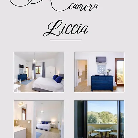 Affittacamere Domus Ilex