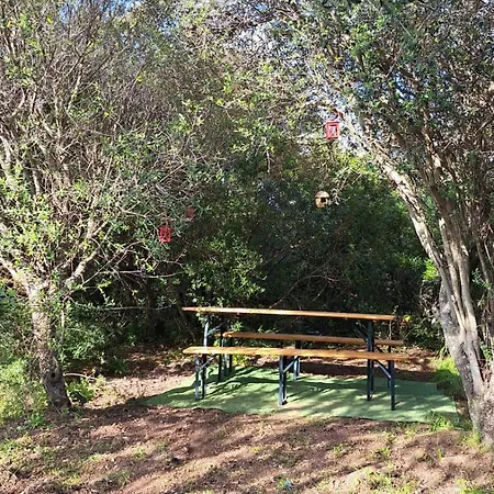 Domus Ilex San Pantaleo