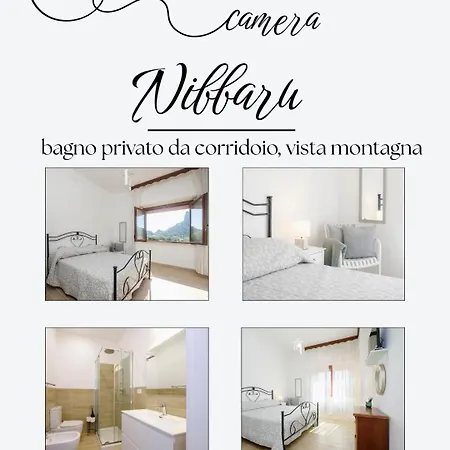 Domus Ilex Affittacamere