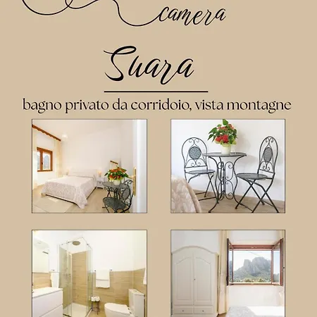Maison d'hôtes Domus Ilex- In Via Livorno 6