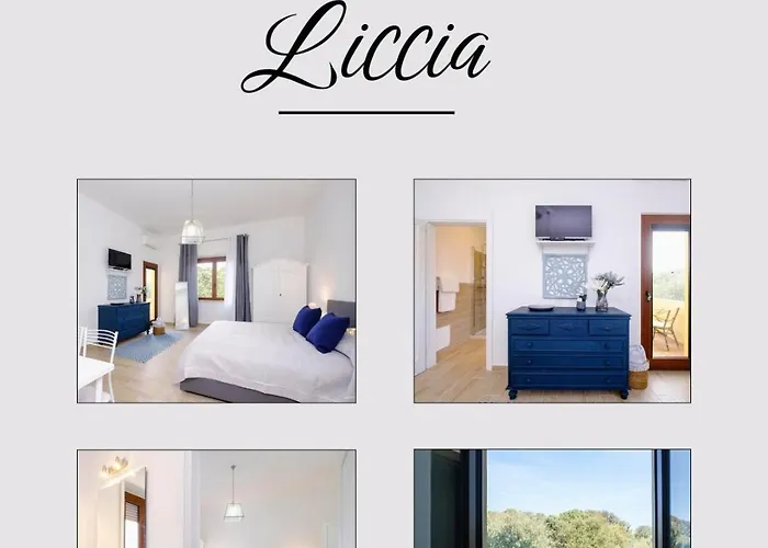 בית הארחה Domus Ilex