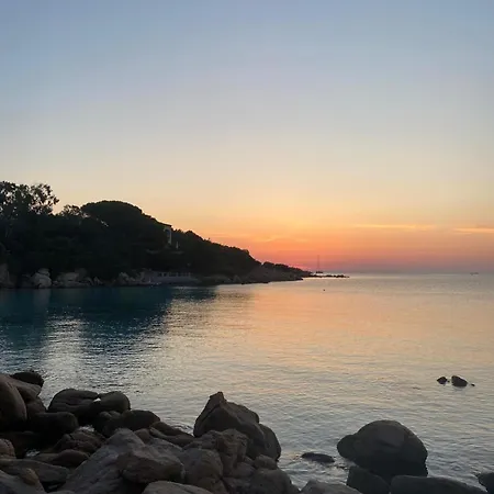 Domus Ilex بيت ضيافة